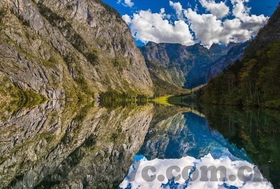 大象传媒最新下载地址-探索大象传媒最新下载地址，数字时代的文化传播新篇章