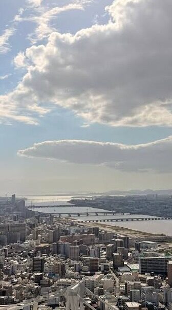 麻豆91视频在线观看-麻豆91视频，网络时代的无形之线
